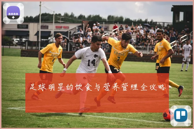 足球明星的饮食与营养管理全攻略